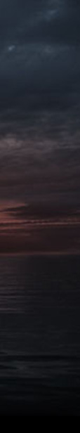 fondo